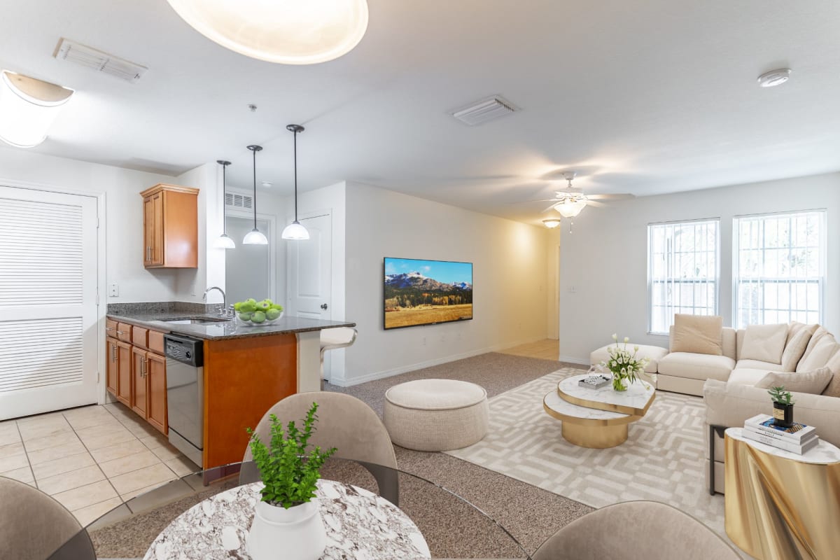 Hammock harbour apartments clearance